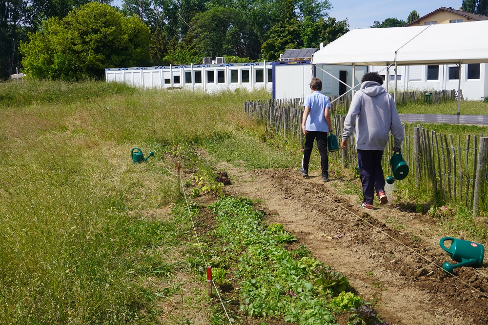 Educalis Article Les Efforts Portent Leurs Fruits 01