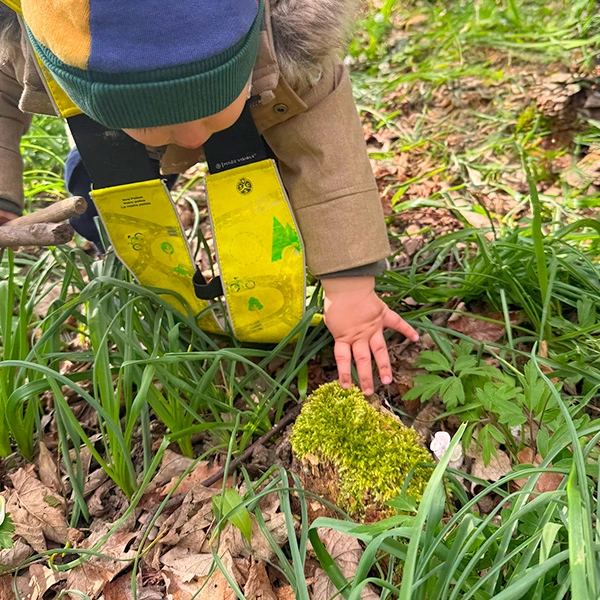 Chez Educalis, la nature devient un terrain d’apprentissage pour les enfants