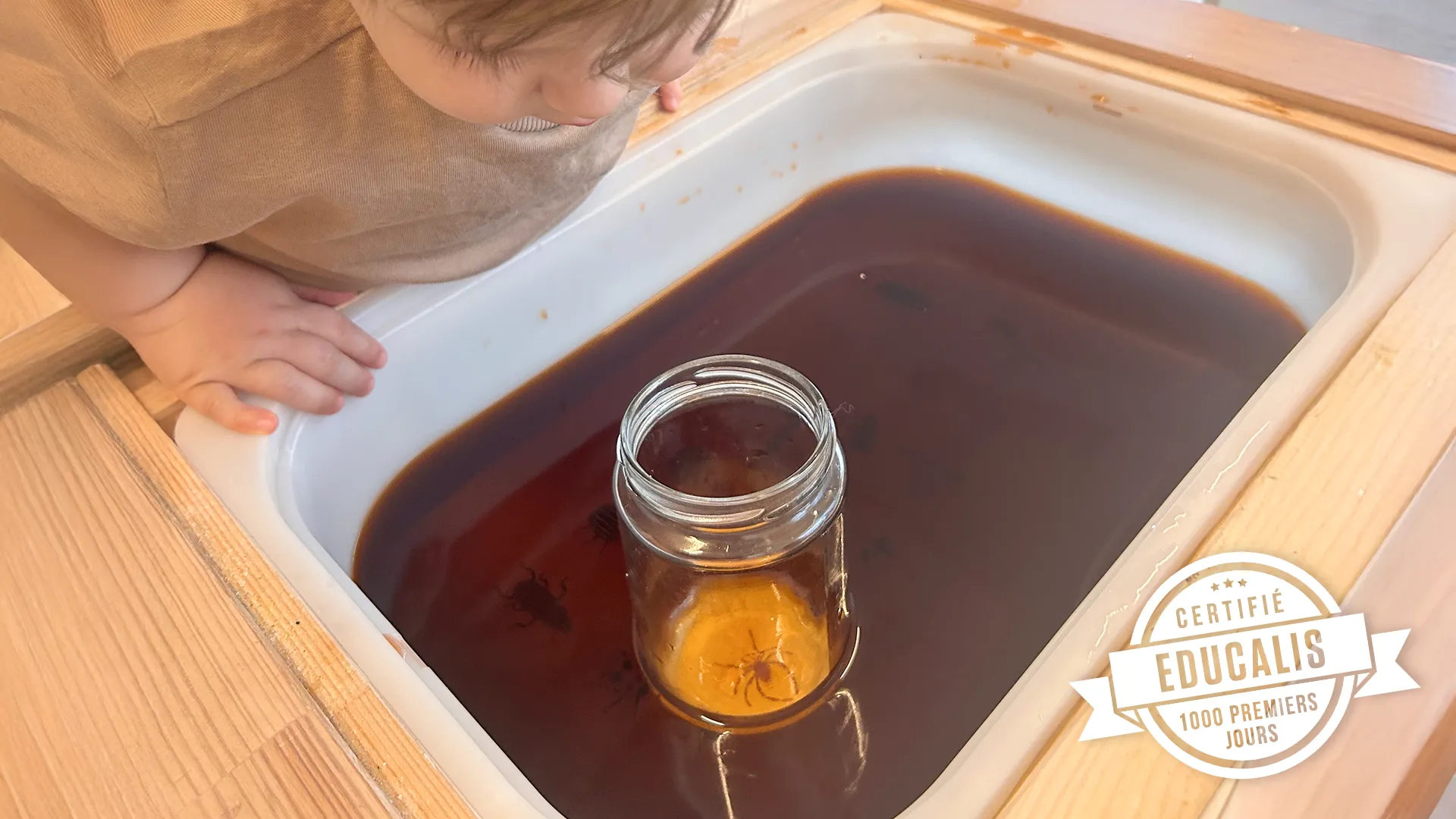 Enfants observant des insectes en plastique avec une loupe improvisée dans la crèche 6 Sens à Saint-Sulpice.
