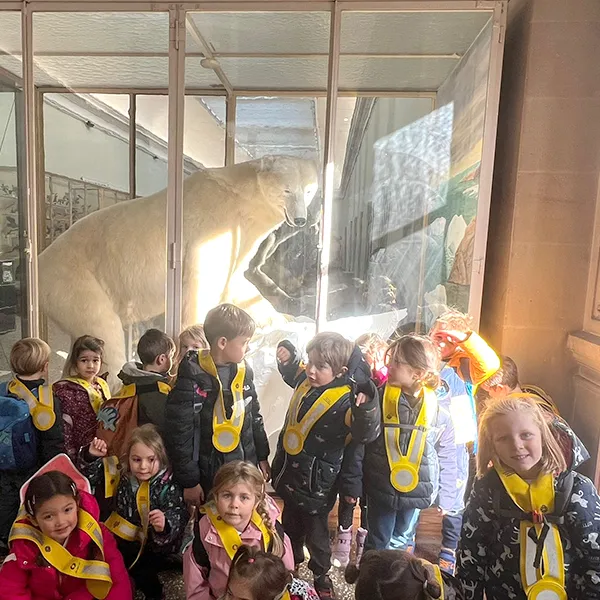 Palais Rumine Vivalys Nanosphere Enfants Animau02