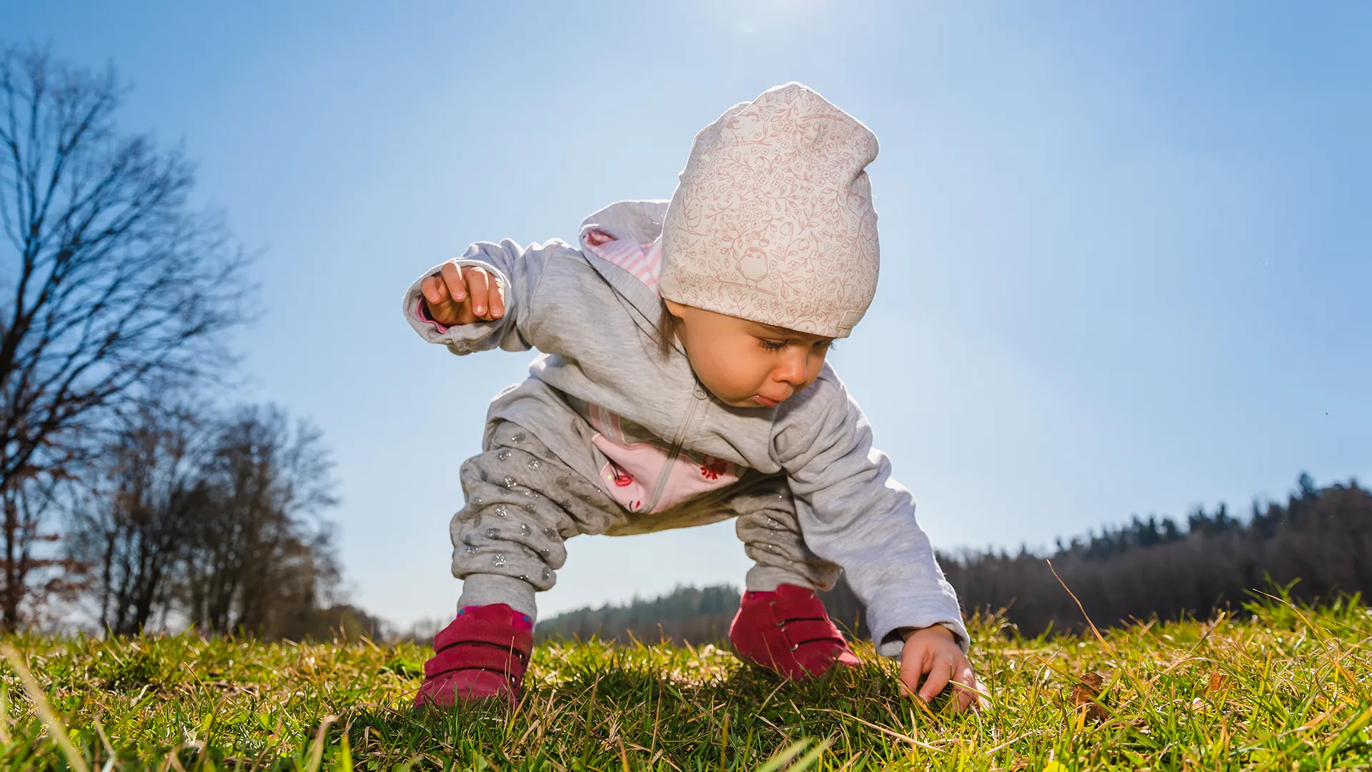 Educalis Formation La Pedagogie Nature