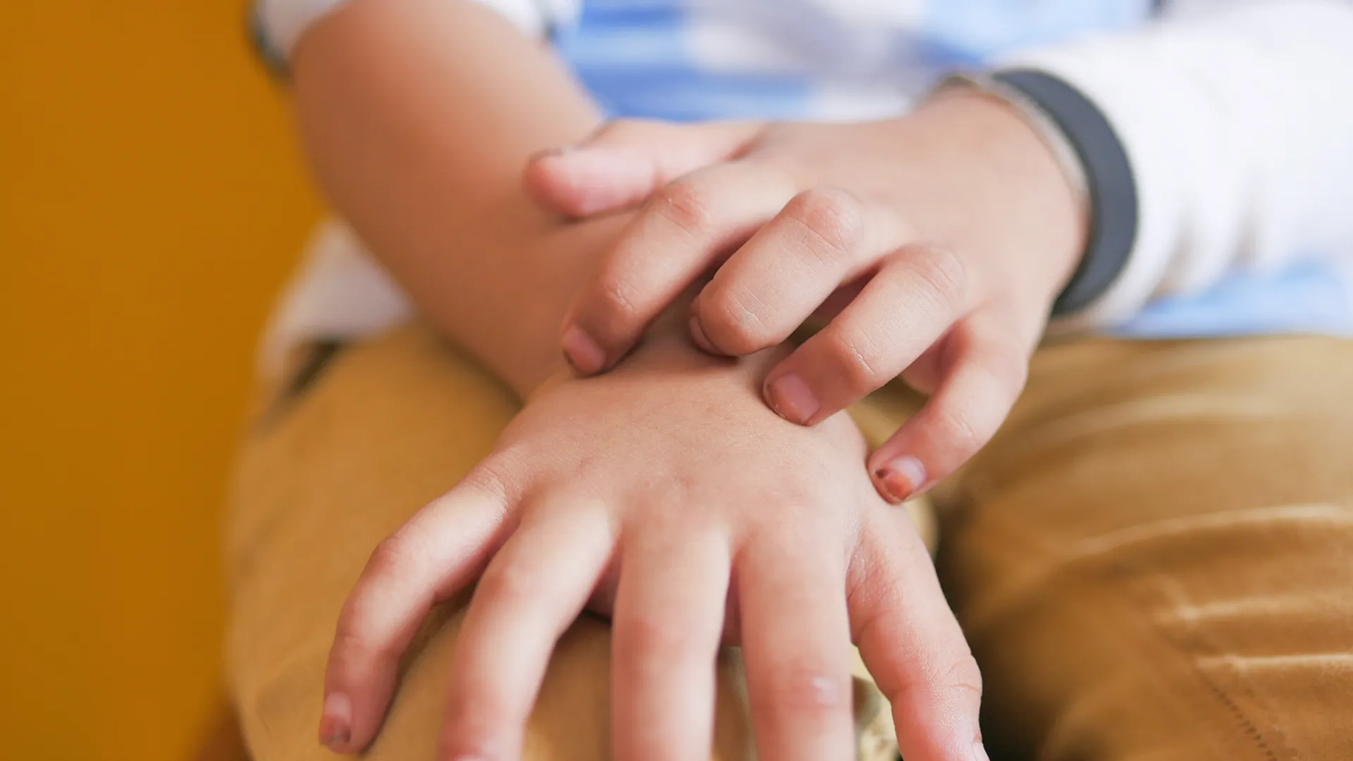 Educalis Formation Prevenir Allergies