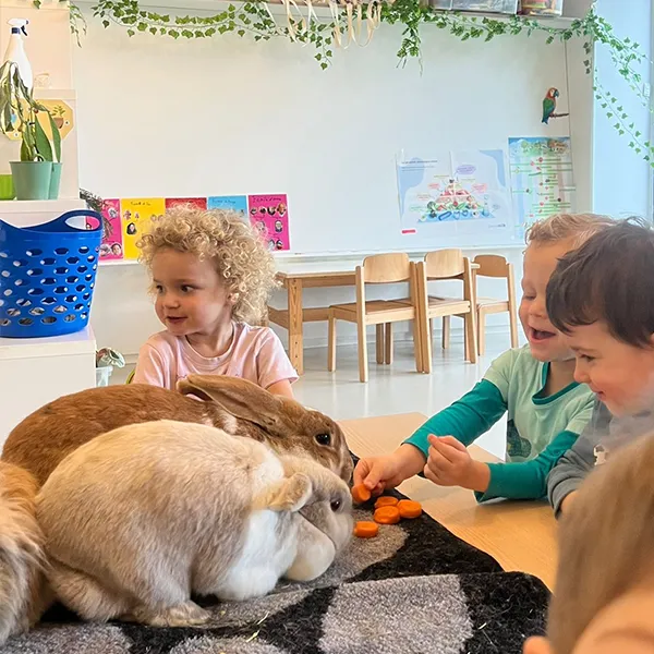 Interaction Enfants Animaux Creche Nanosphere Ecublens 01