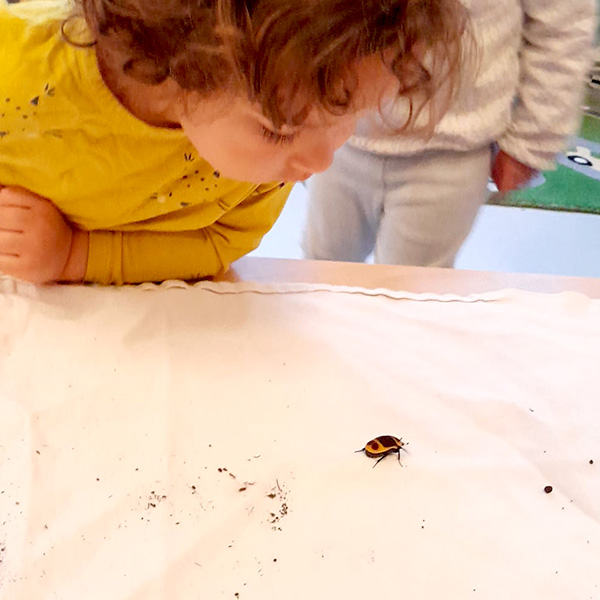 Enfants Observation Scarabees Nanosphere Ecublens 07