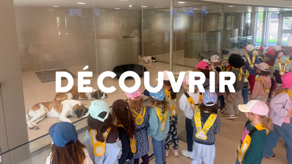 Vivalys Nanosphere Sortie Barryland Saint Bernard Ecublens 00