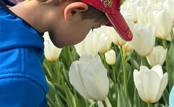 Petitesectioin Vivalys